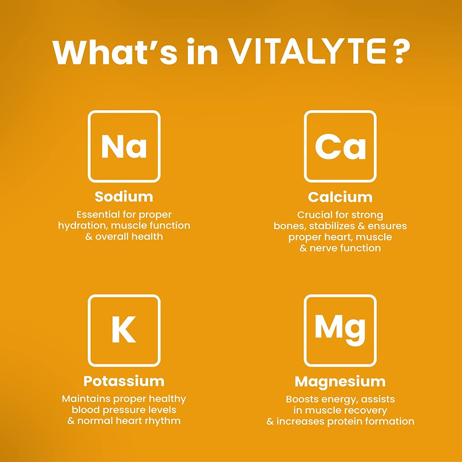 Vitalyte Electrolyte Powder Drink Mix Bundle, Pouch + Packets, Orange Flavor