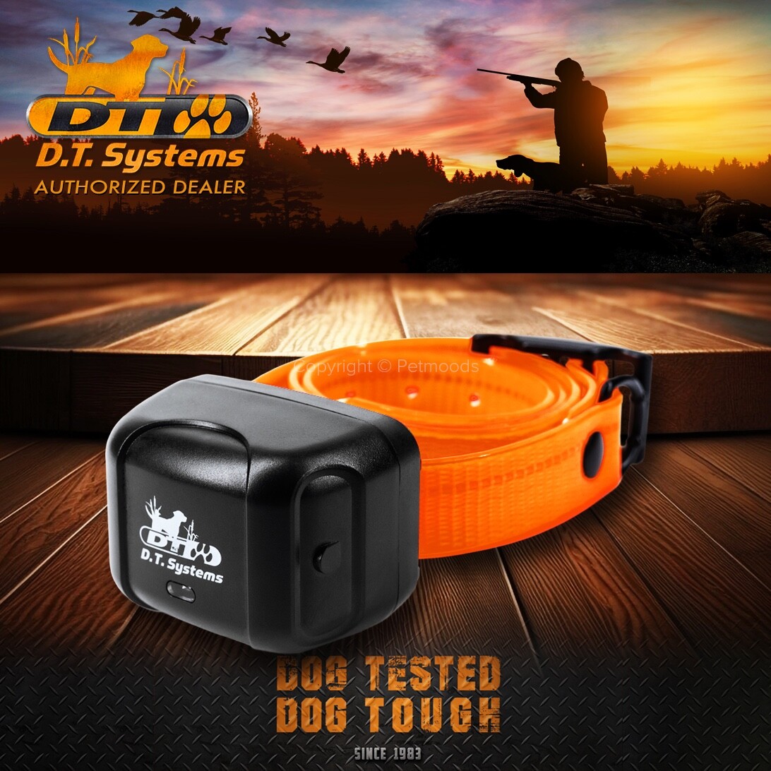 DT Systems RAPT 1400 Orange Add-On Collar Dog Receiver MAXX-Range 360°