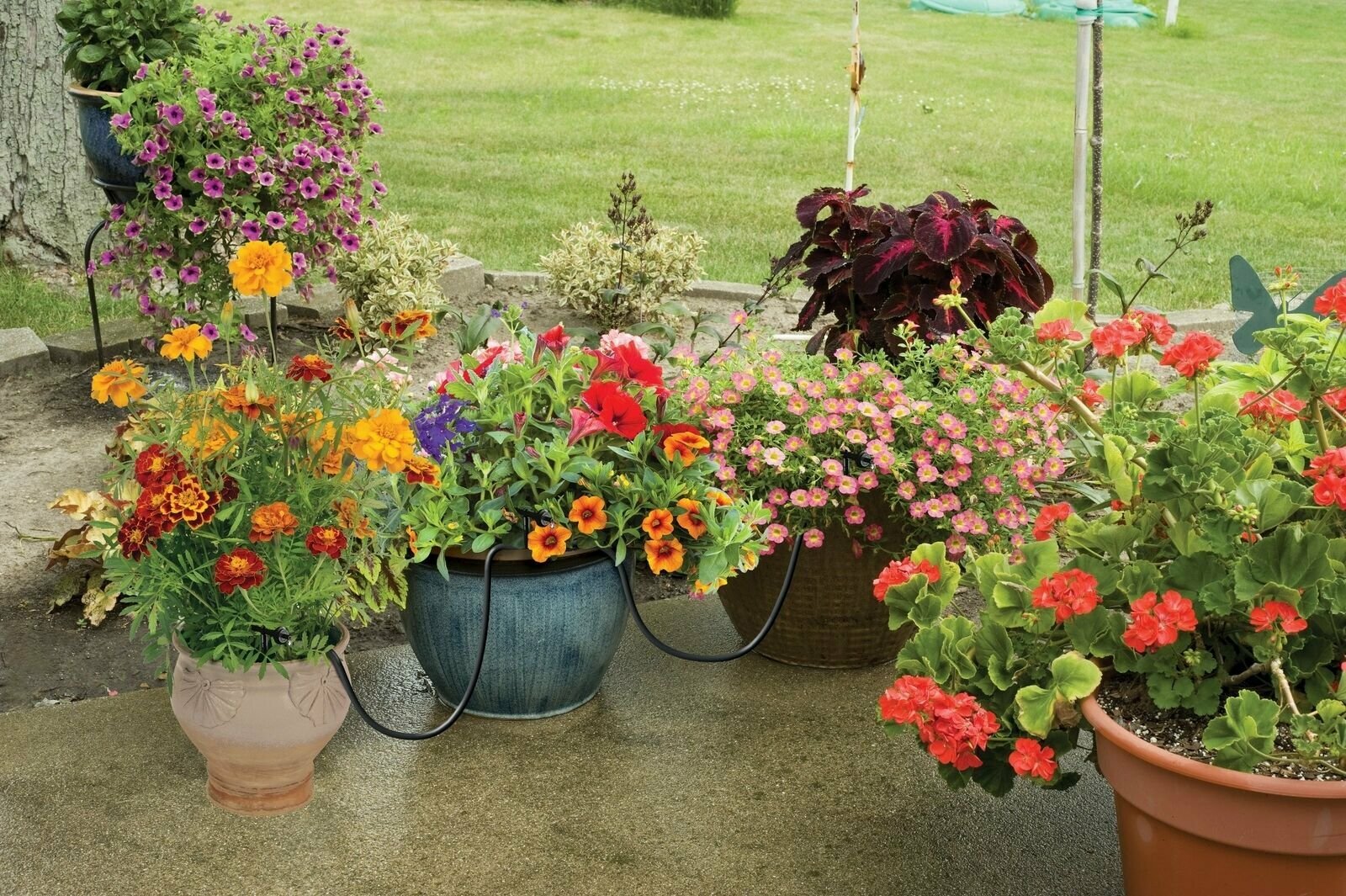 Raindrip R560DP Automatic Watering Kit for Container and Hanging Baskets