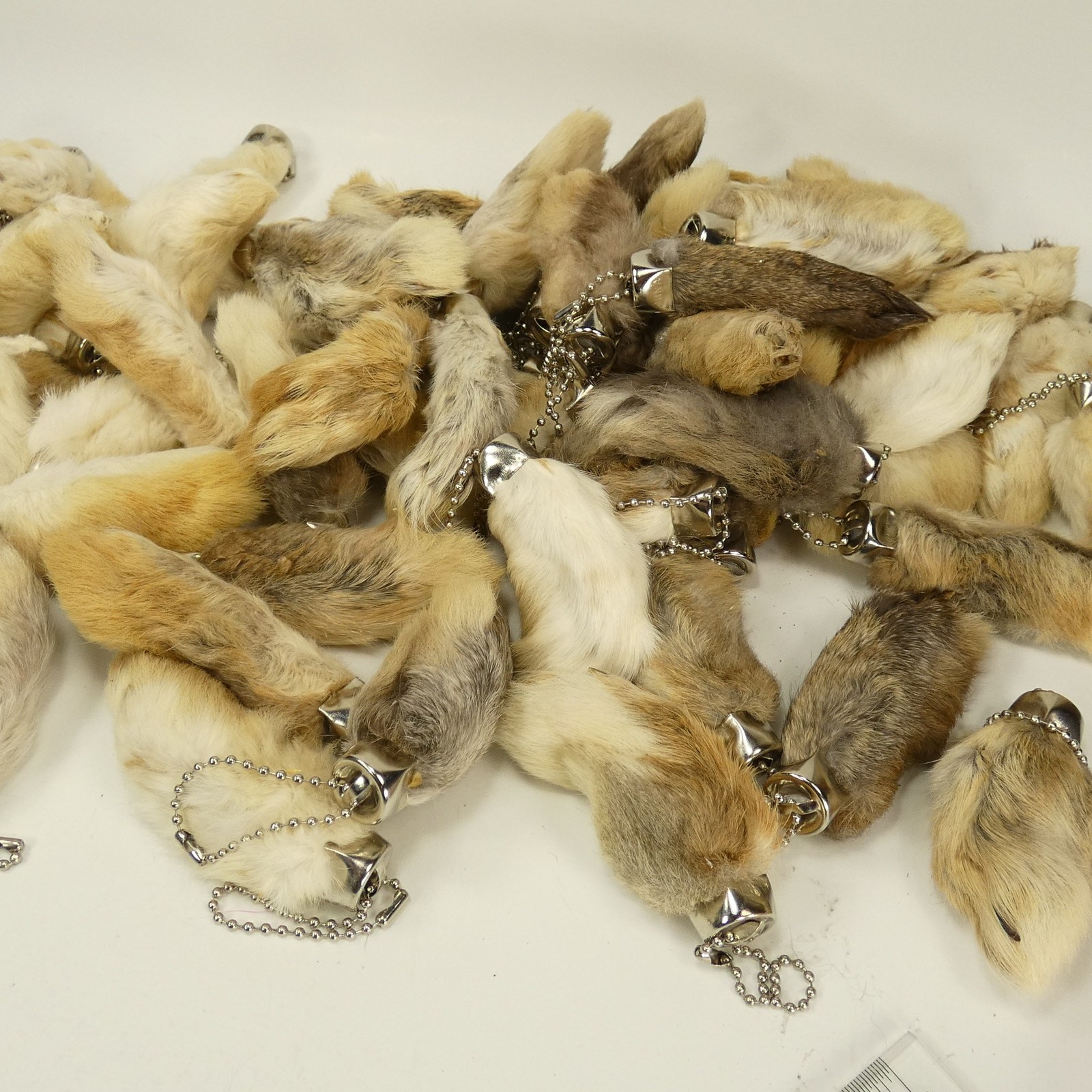Bulk 50 New Lucky Rabbits Foot Key Chain, Zipper Pull, Charm Natural Colors