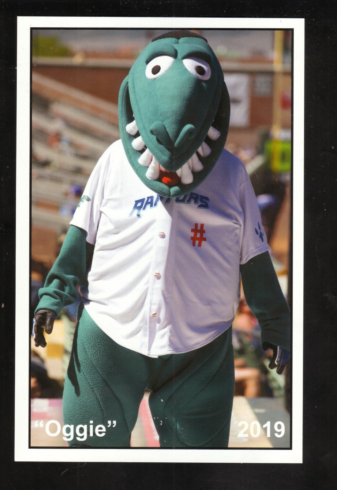 2019 Oggie Ogden Raptors Mascot SGA Photoprint  Pioneer League