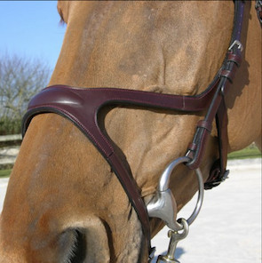 Dion X-FIT Bridle