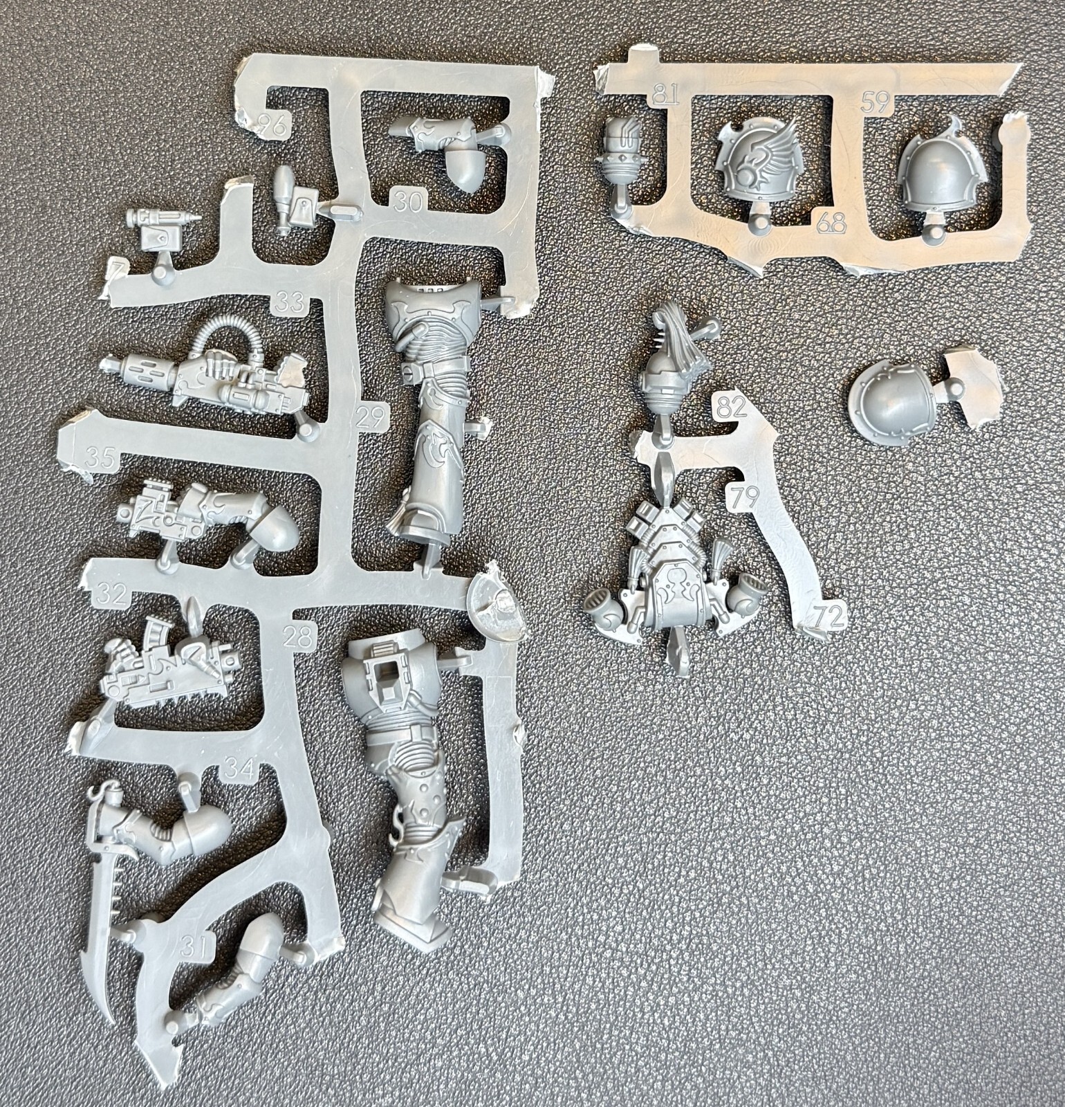 Tormentor Infractor C Meltagun Emperor's Children Warhammer 40k - NoS (x1)