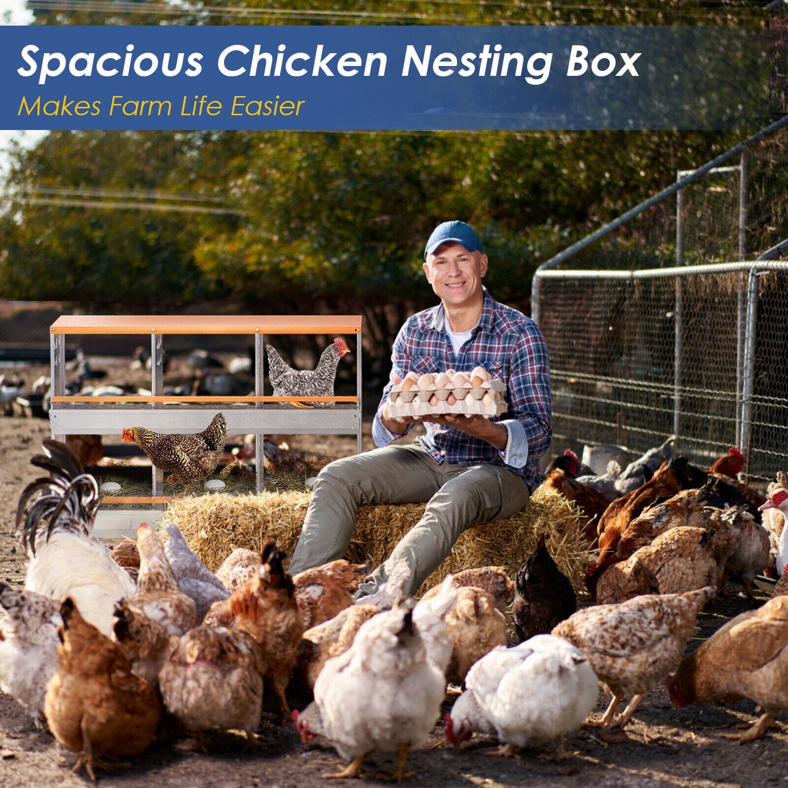 6 Hole Chicken Nesting Boxes Metal Egg Laying Brooding Box With Vent Hole Set