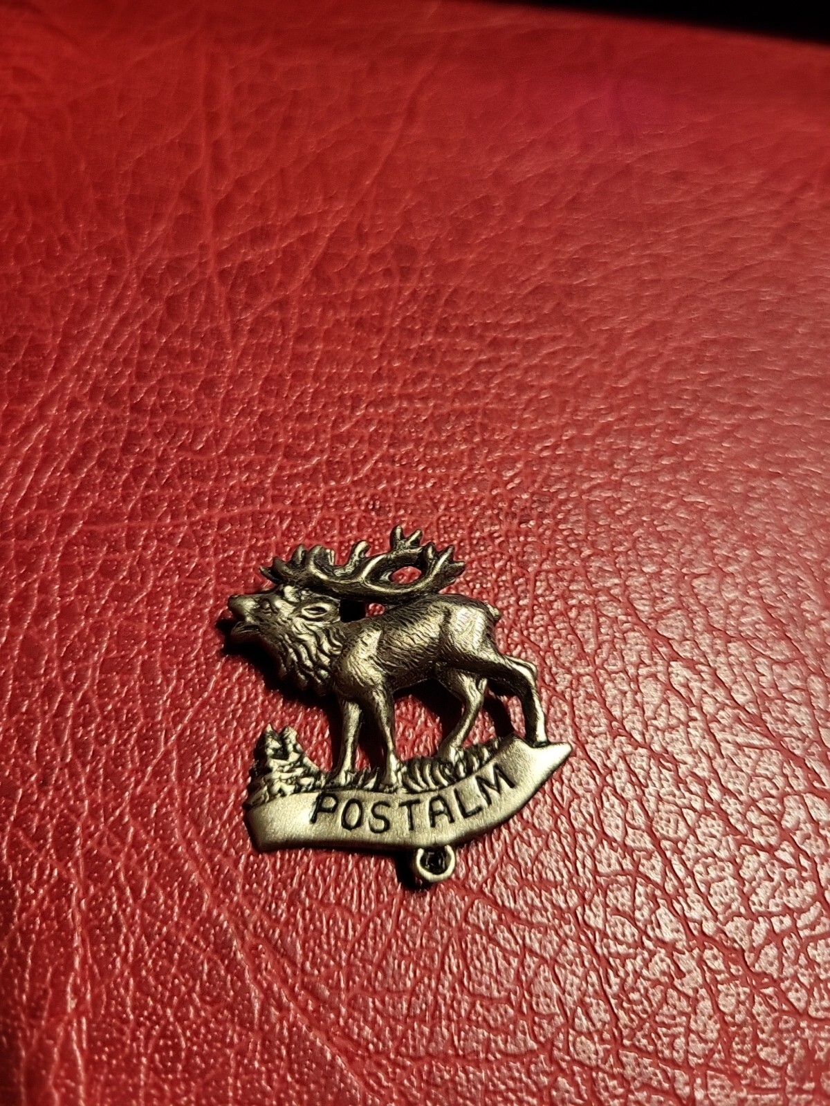 Pin Hatpin Hiking Pin Brooch Postalm