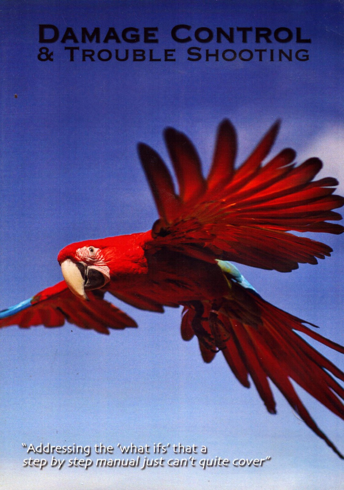 Parrot / Bird Taming Training & Tricks  Stop Screaming Birds Tricks.com