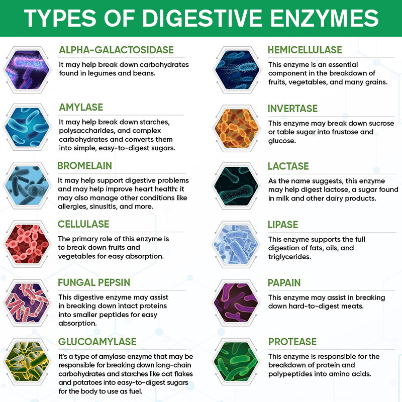 Digestive Enzymes w/ Prebiotic & Probiotics, Gas, Constipation & Bloating Relief