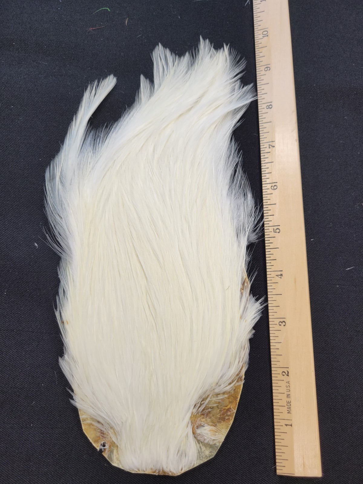 Lot 34,  Top Quality Dyed WHITE India Rooster Streamer Neck Cape Feathers