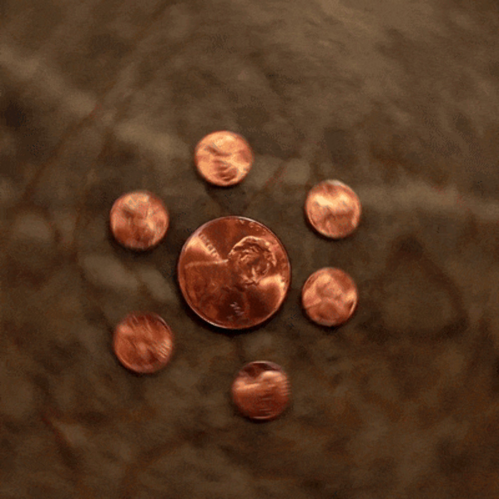 Raven Mini Penny