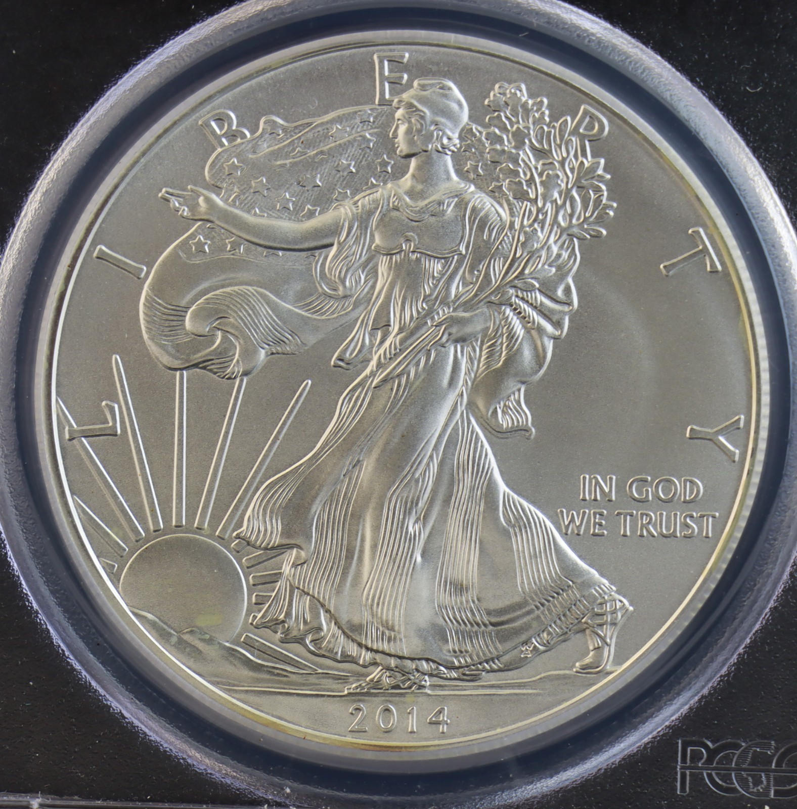 2014 American Eagle PCGS MS70