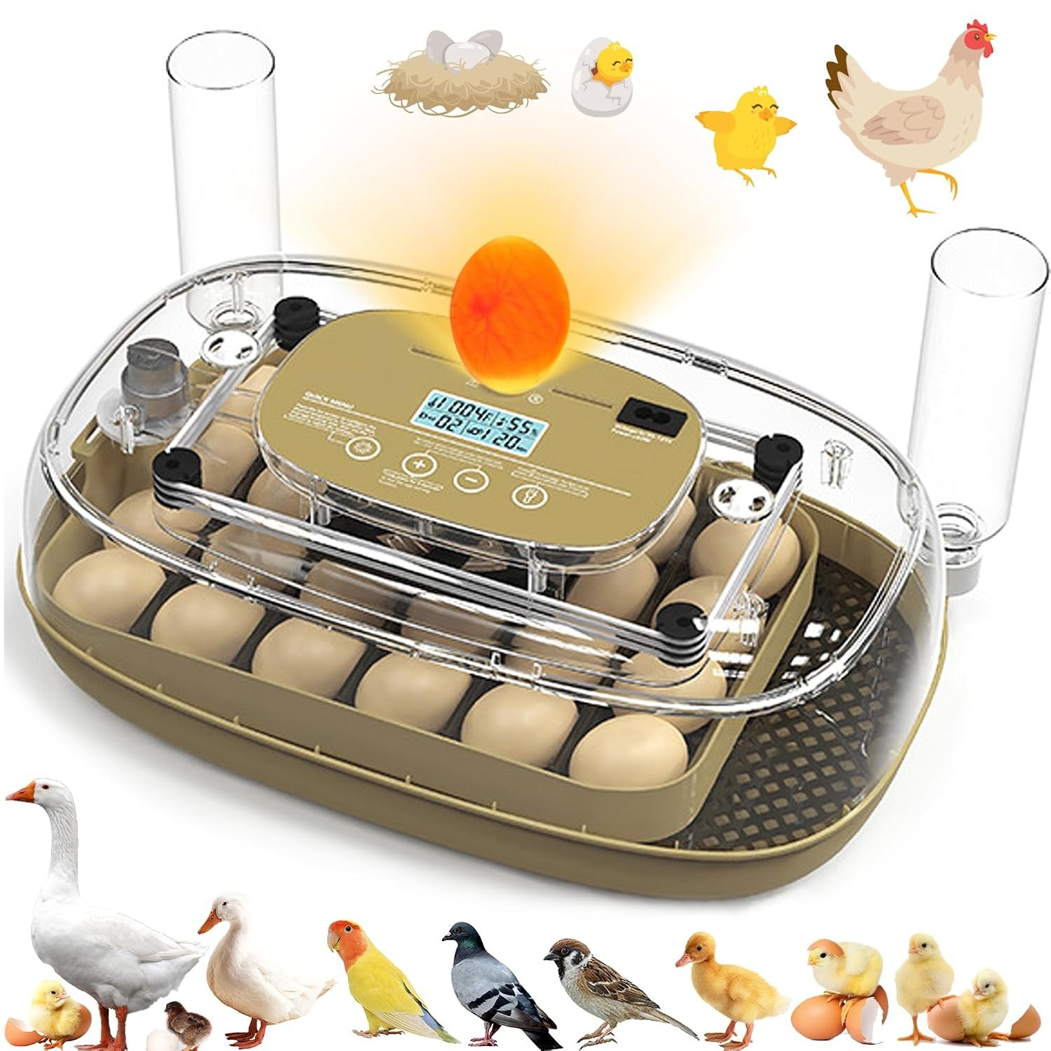 Syluris Incubators for Hatching Eggs, 24 Egg Incubator with Automatic Egg Turn