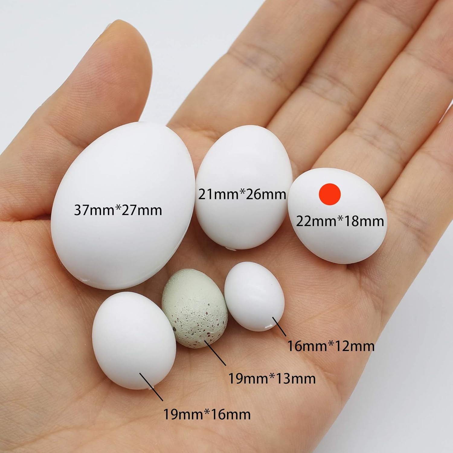 8 Pcs Solid Parrot Plastic Eggs Hatching Eggs Lovebird, Bourkes