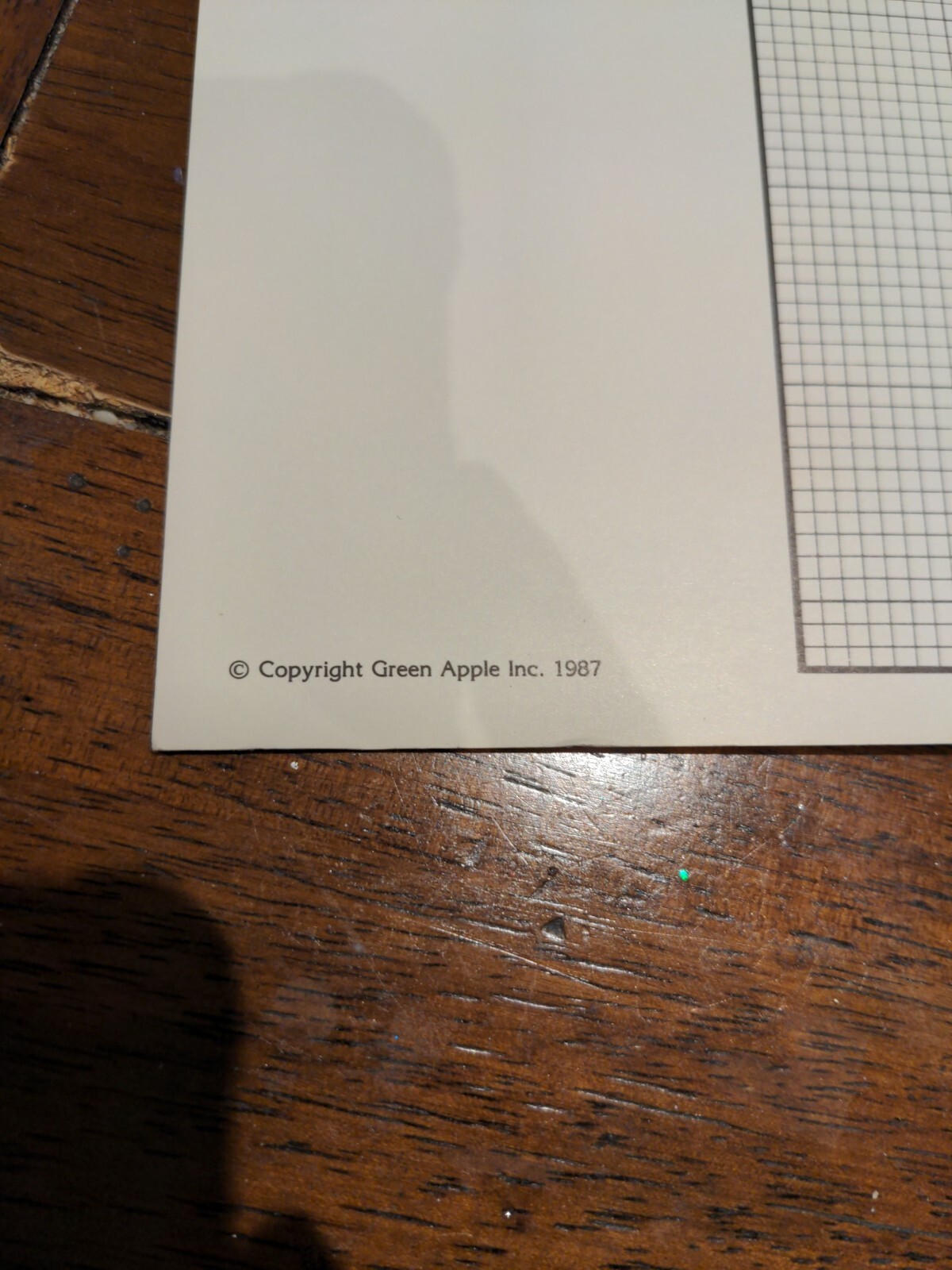 Vintage 1987 Green Apple Pastel Poinsettia Counted Cross Stitch Booklet Leaflet