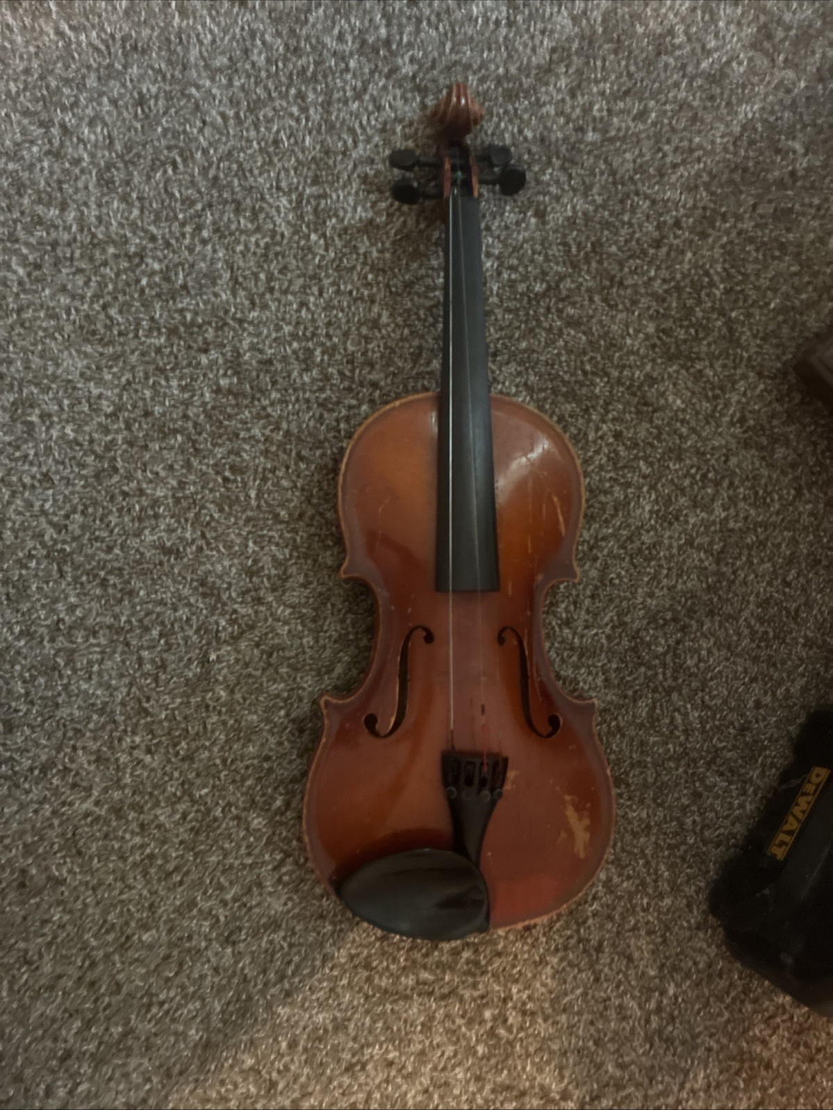 violin