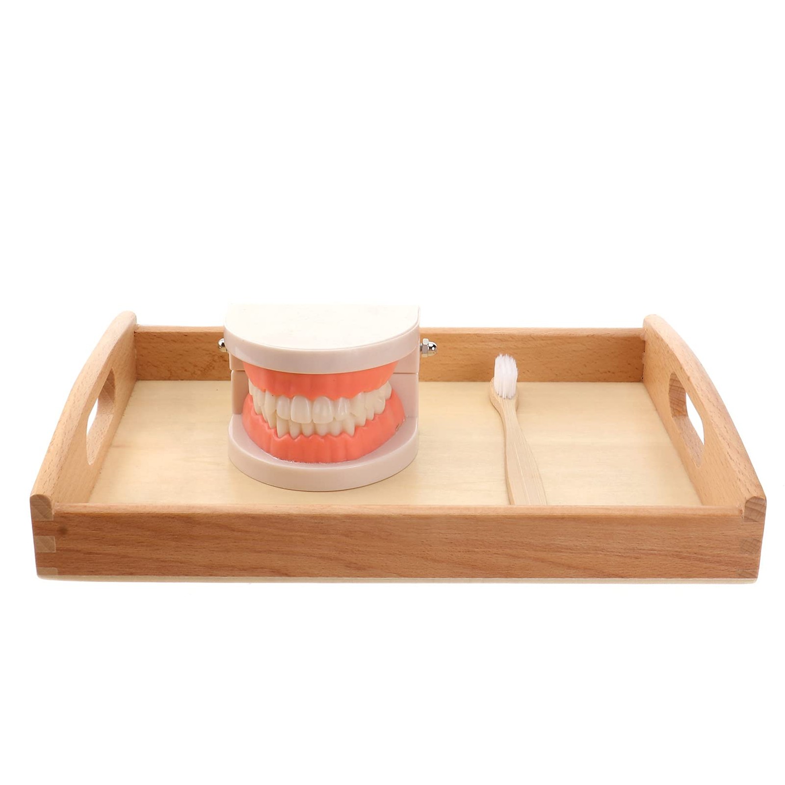 Toothbrush Set Montessori Teeth Brushing Toy with Wooden Brushes and Tray Edu...
