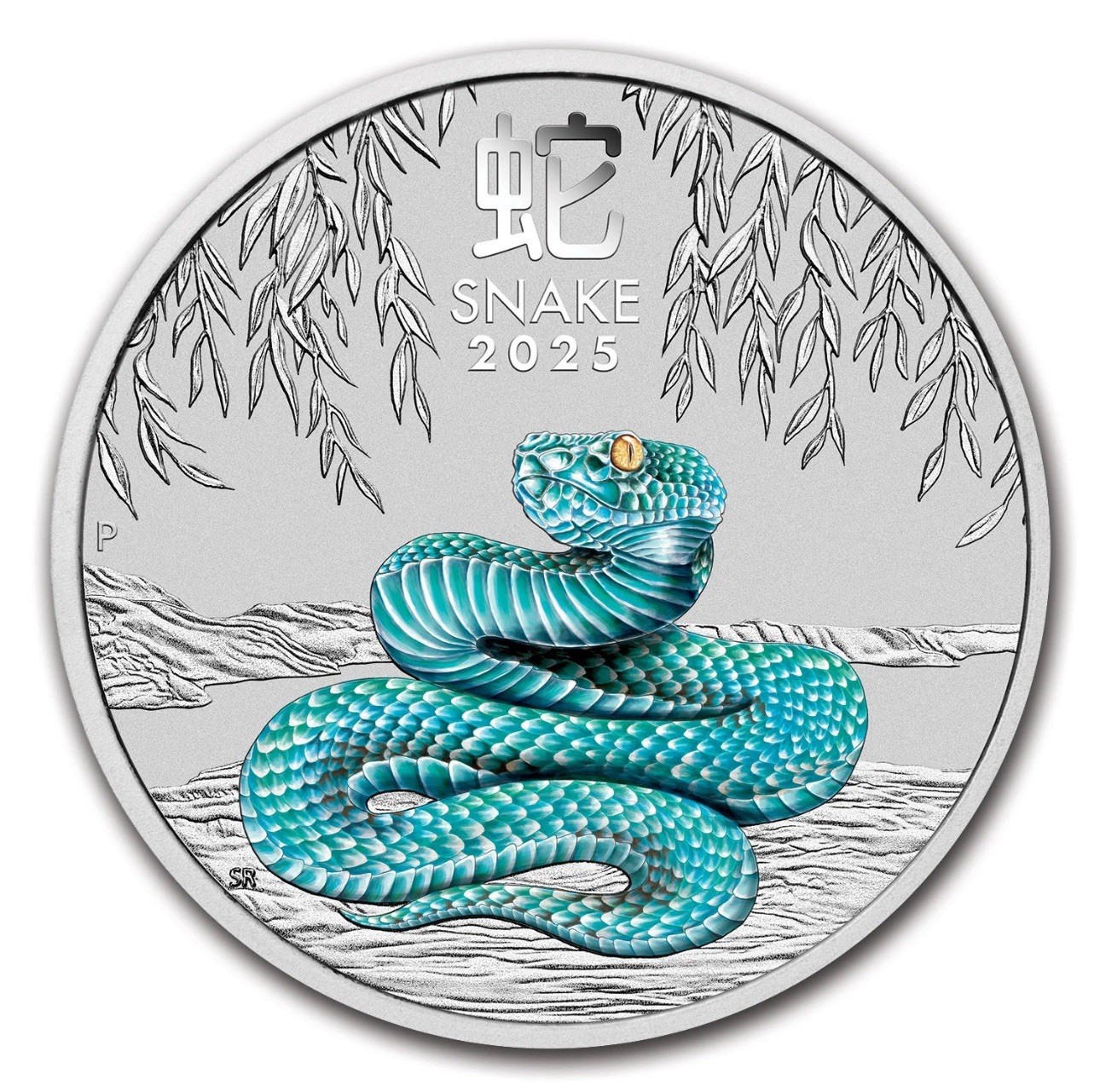 2025-1/4oz Color Lunar Year Of The Snake Silver Coin 9999 Perth Australia Cap🔥