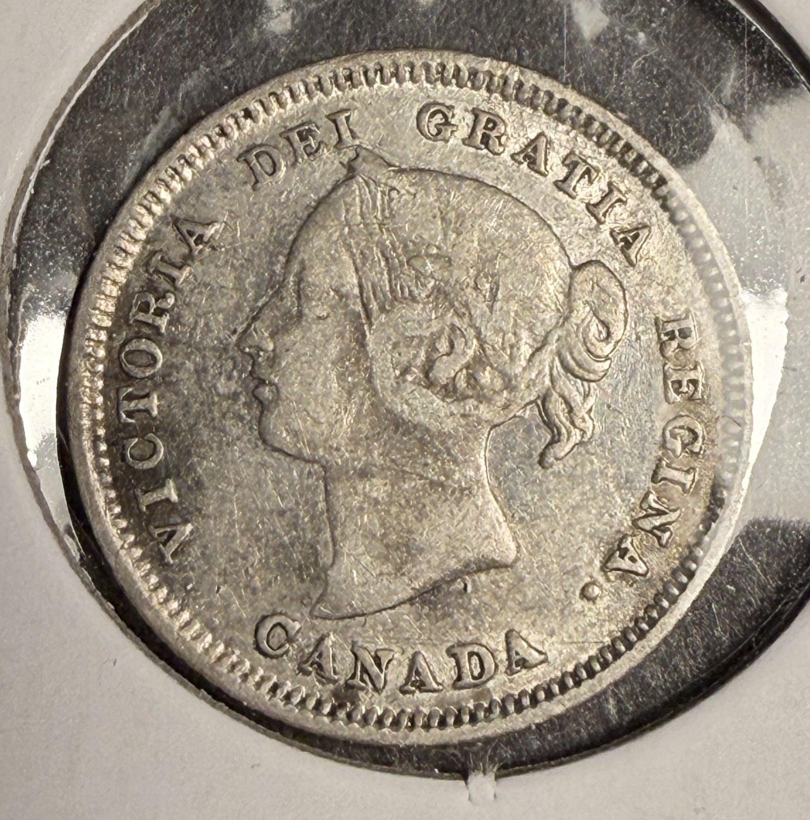1881-H Canadian 5ct Silver, VF. (18572)