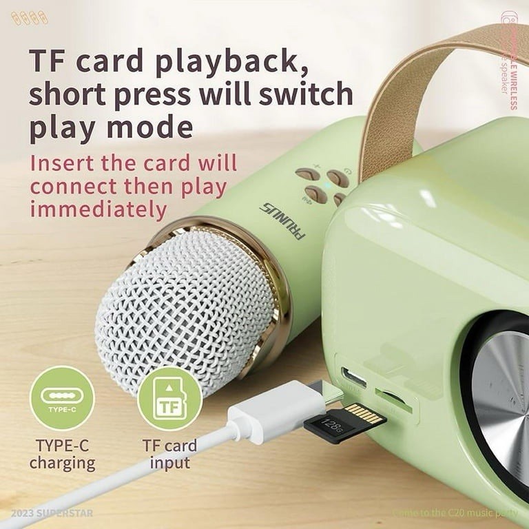 PRUNUS C20 Mini Karaoke Machine Portable Bluetooth Speaker