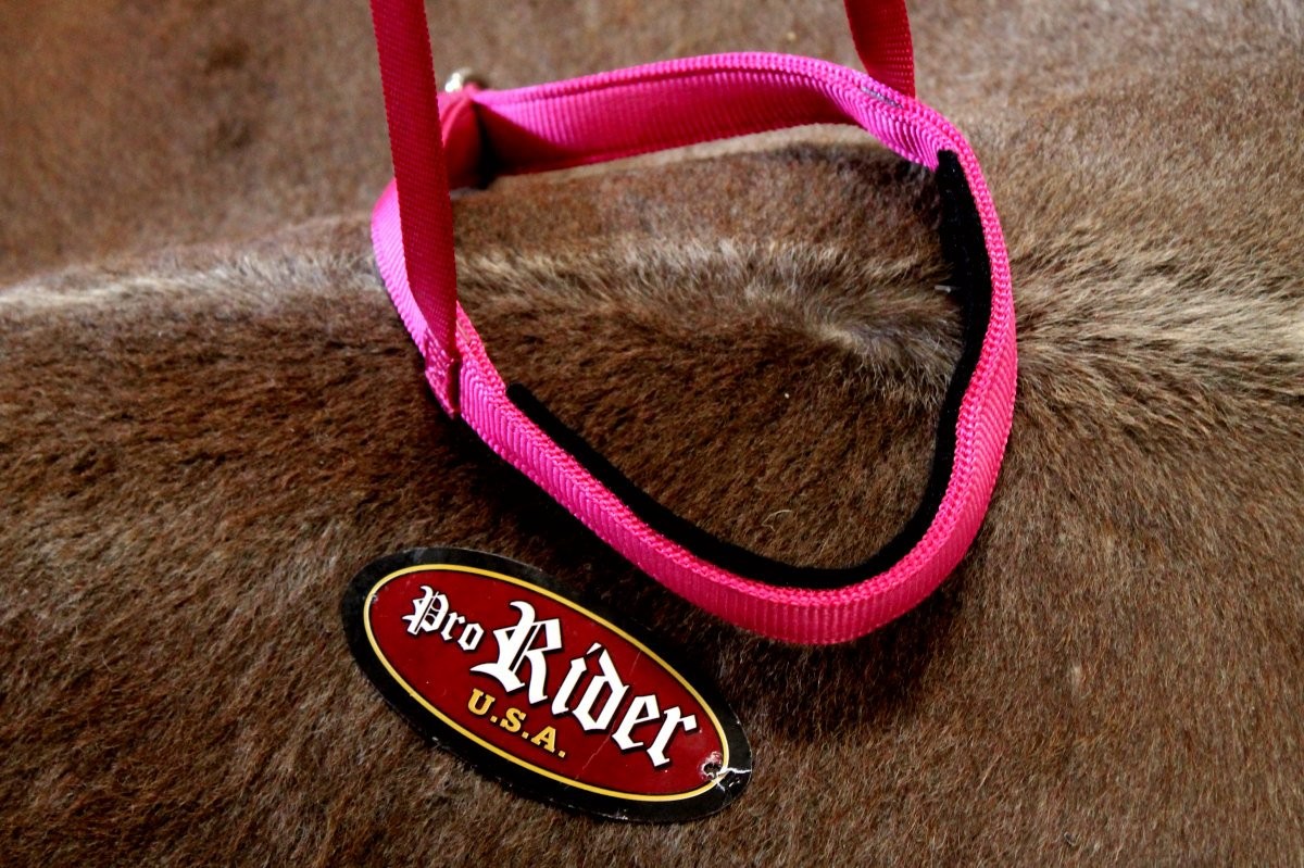 Horse Show Bridle Western Leather Barrel Racing Tack Rodeo Noseband  99110