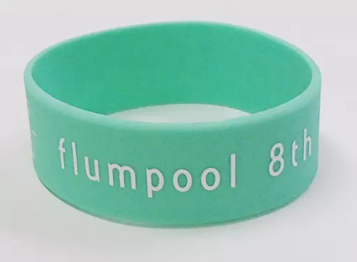 Flumpool 8th Tour 2017 Mint Blue Silicone Rubber Band Wristband Used