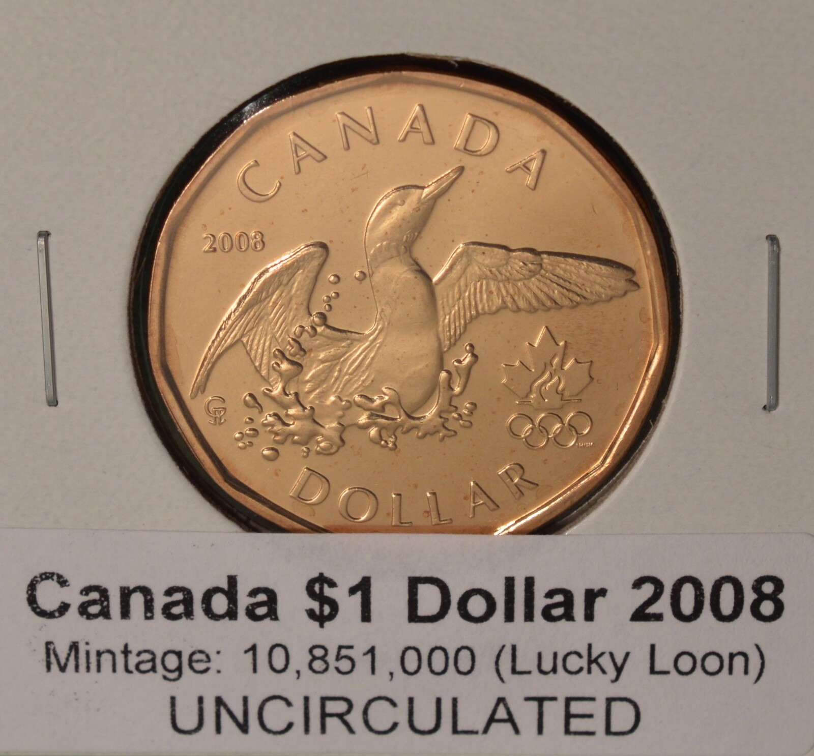 2008 - Canada $1 Dollar - Olympics Lucky Loonie BU UNC - from mint roll 🇨🇦