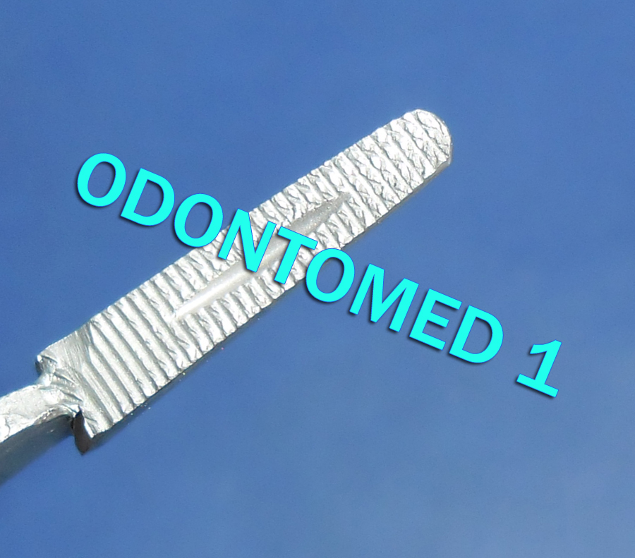 1 Mayo Hegar Needle Holder 10" Surgical Instruments