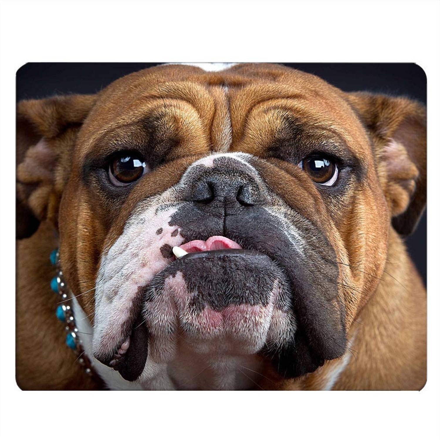 Bulldog Gaming Mousepad Bulldog Dog Puppy Brown Mouse Pad Mouse Mat for Compu...