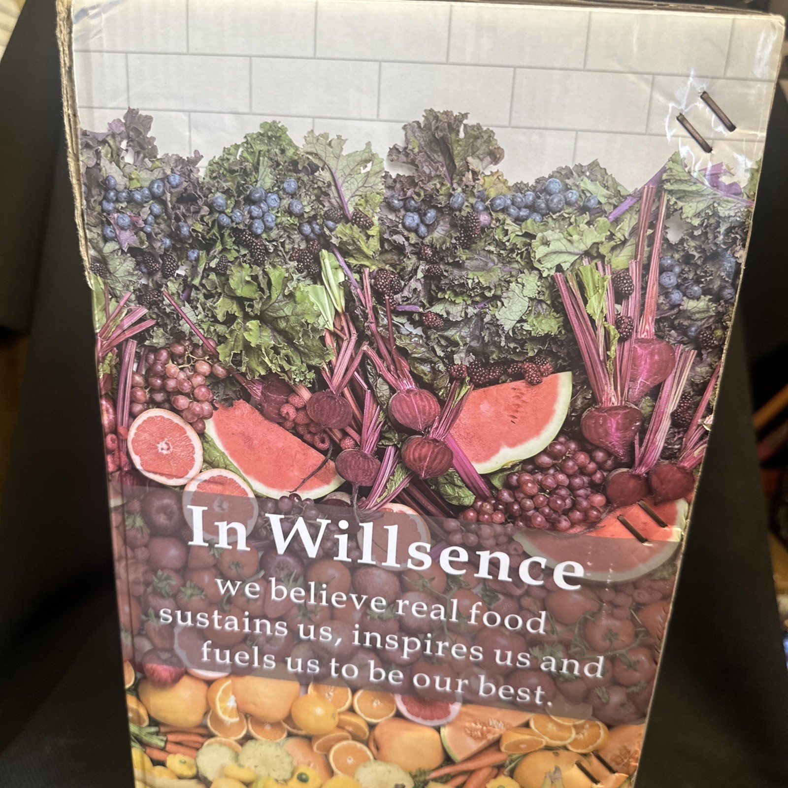 Willsence Slow Masticating Juicer Extractor with 5 Mode Adjustment