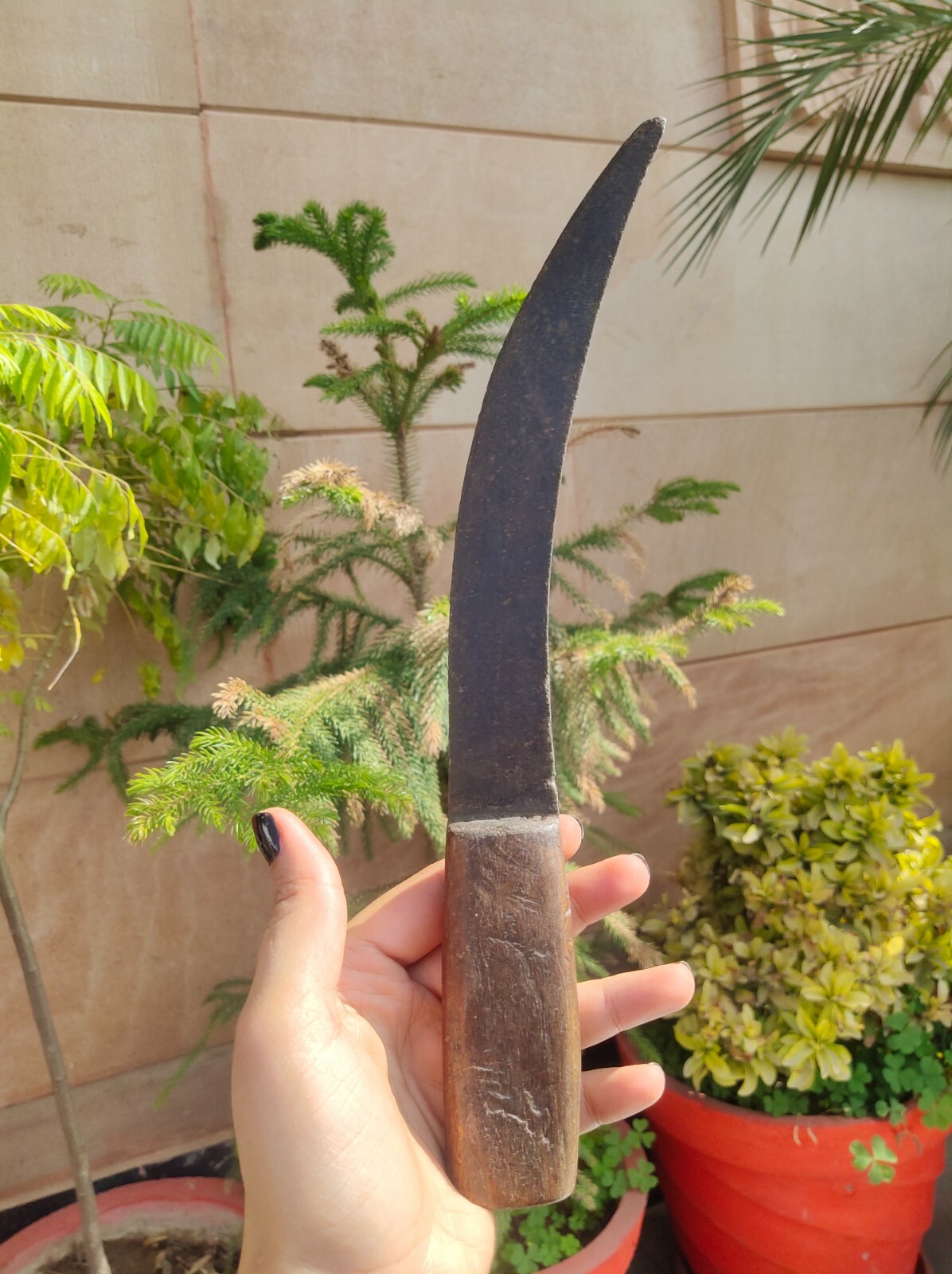 Collectible Old Hand Forged Hunting Iron Knife Dagger With Wooden Hilt Handle