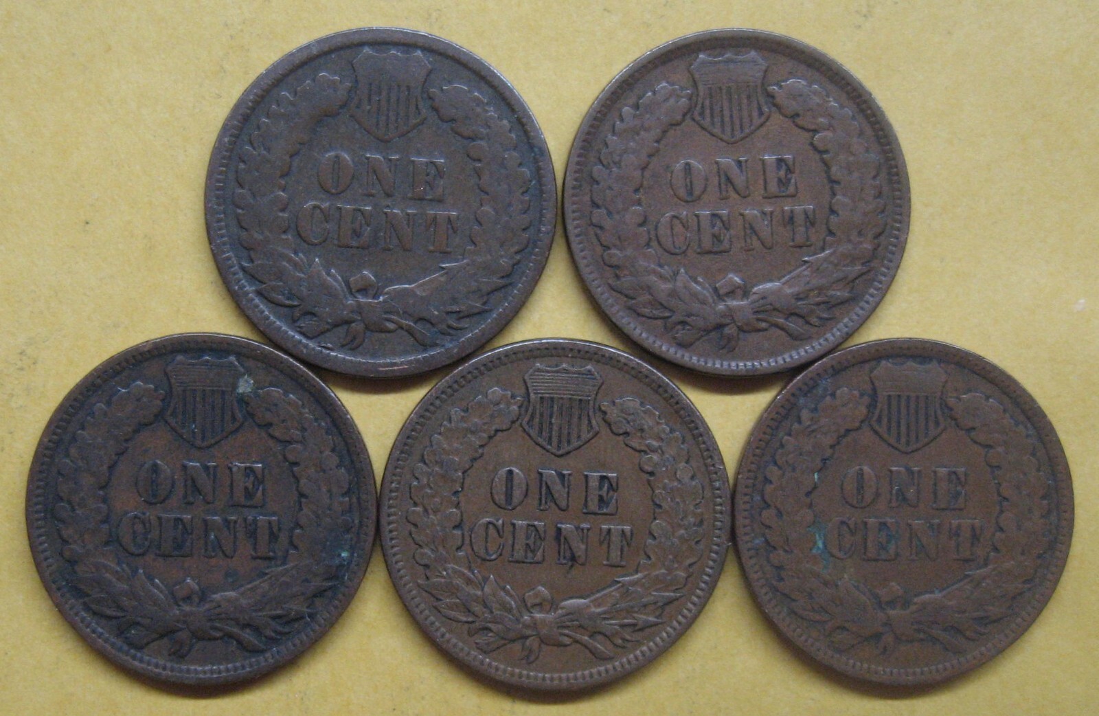 Five Indian Pennies with Five Different Dates--ALL in Good+ Take a Look