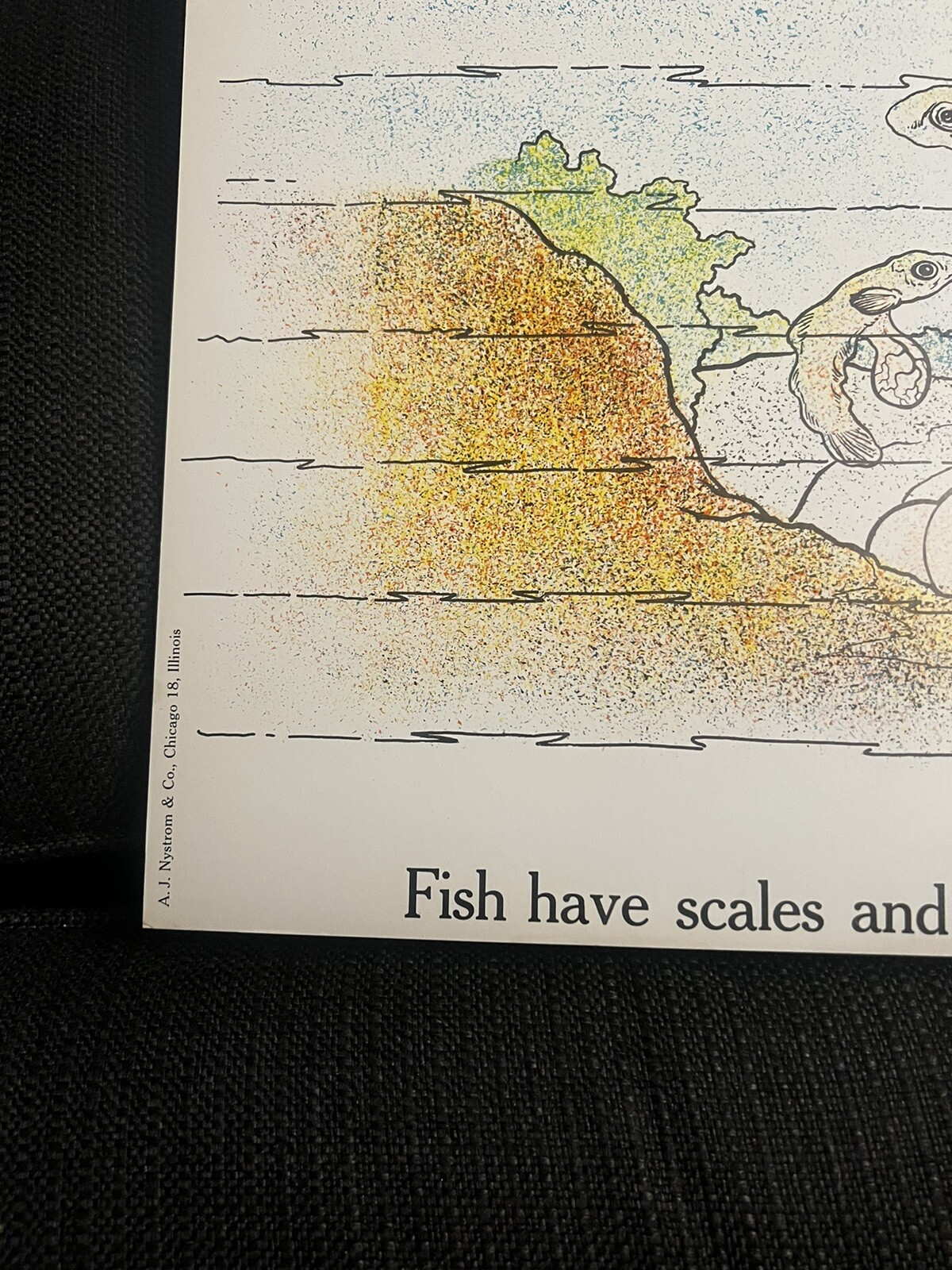 VINTAGE A.J. Nystrom Elementary science chart Animals & growth #2 chart 24 x18.5