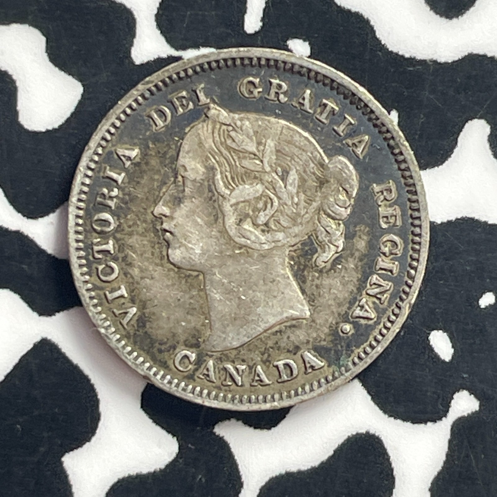 1900 Canada 5 Cents Lot#C2278 Silver!