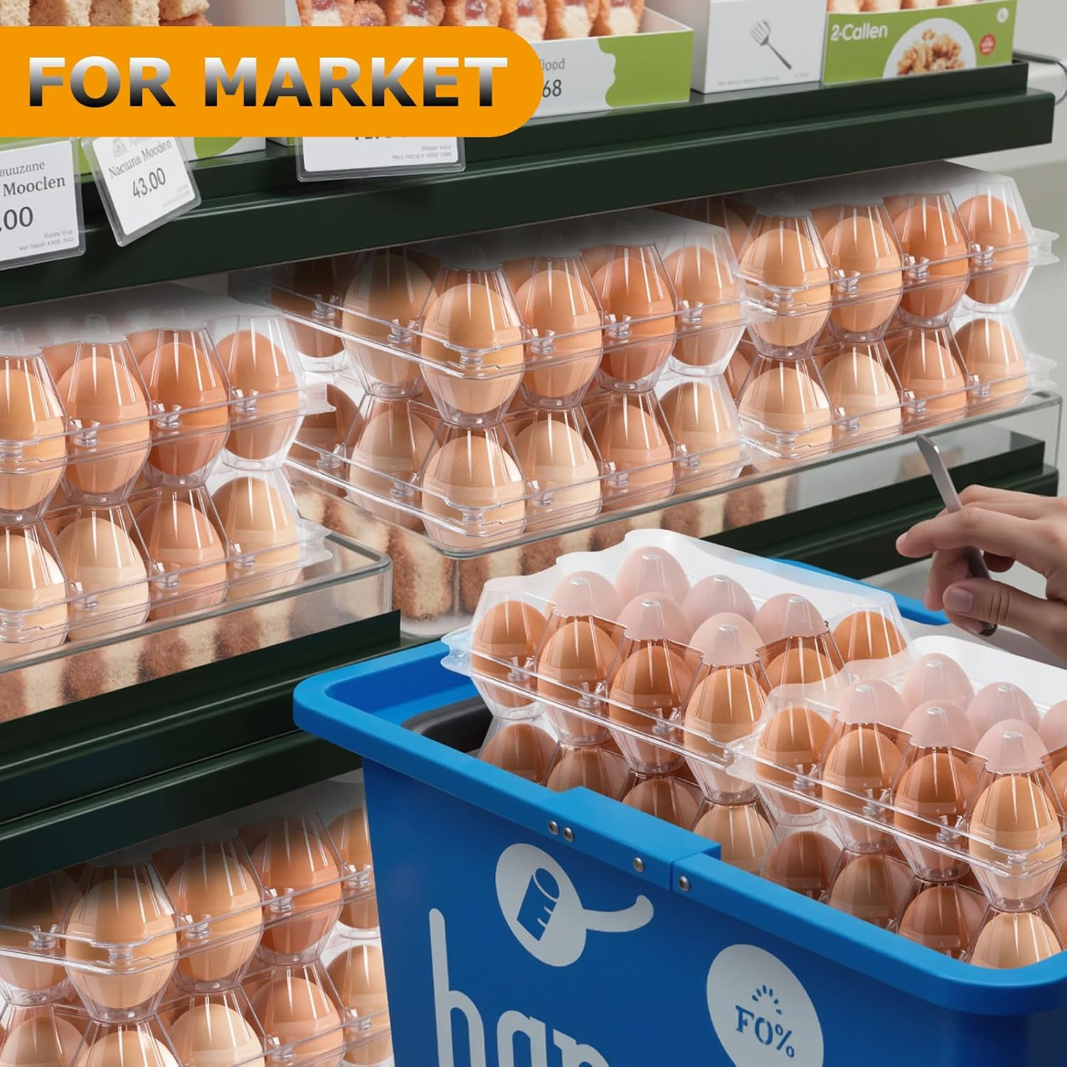48 Pack Egg Cartons Cheap Bulk 12 Count, 1 Dozen Clear Empty Chicken Egg Cartons