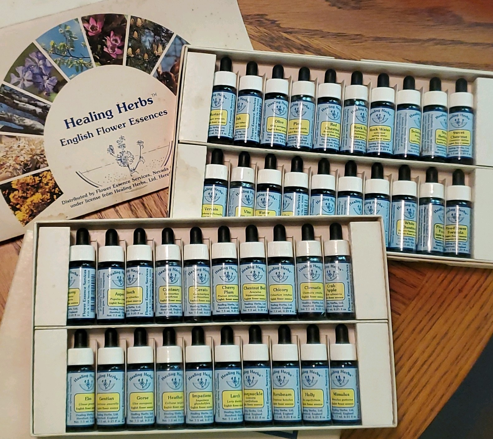 Healing Herbs English Flower Essences