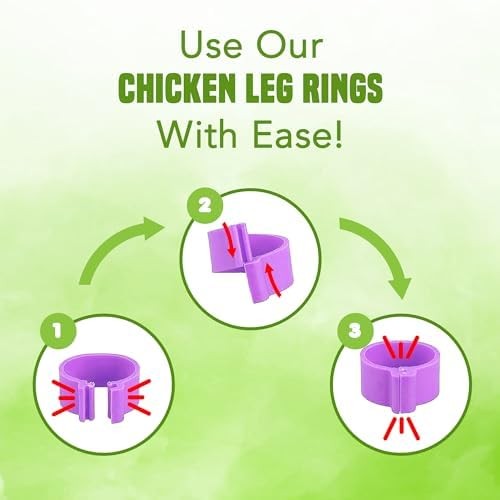 Chicken Leg Bands - Numbered & Multi-Colored Poultry Plastic Bands for Ducks, T