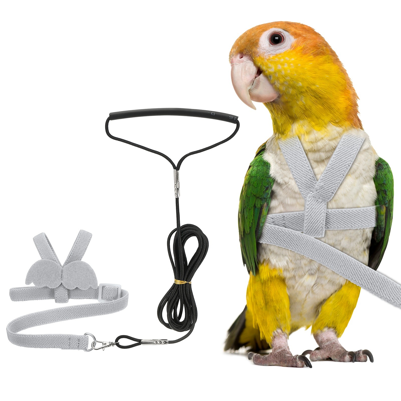 Bird Harness Leash, Pet Parrot Bird Harness and Leash with Cute Wing (Gray, L)