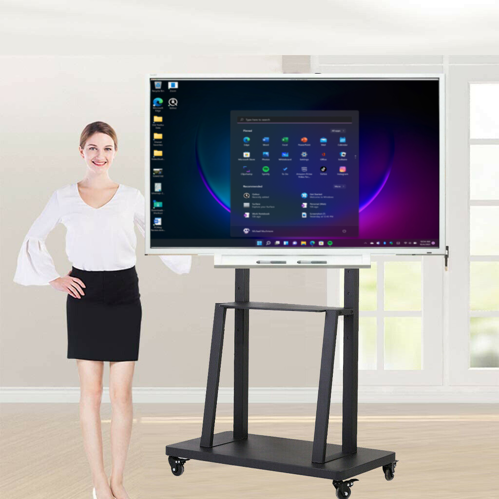 The SMART Board 4065 interactive flat panel (with mobile stand) **Warranty****