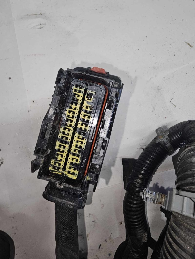 11 ONLY BUICK REGAL ONLY 2.4 Wire Harness (engine) 22766437 22739778