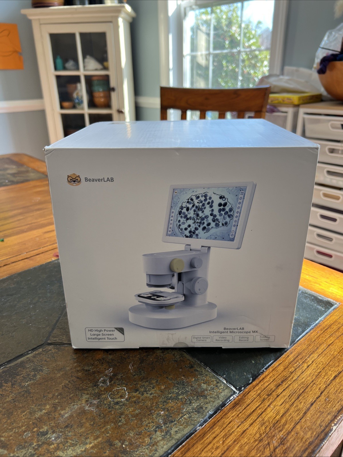 BeaverLAB Intelligent Microscope MX