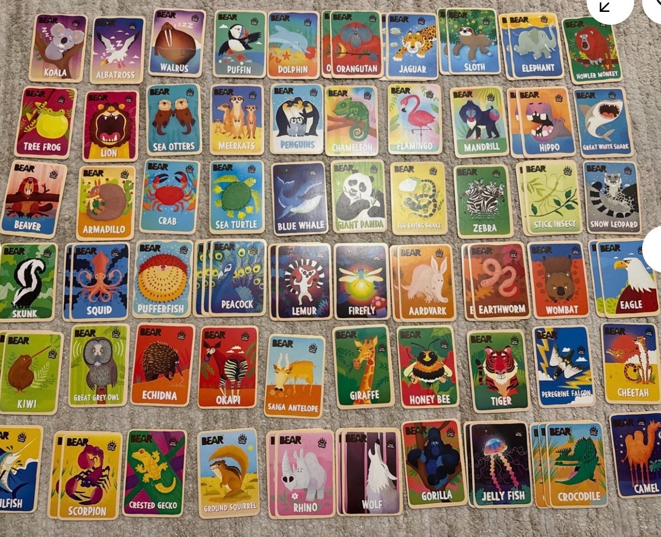Bear's Collectible Animal Cards from Bear Fruit Rolls - Singles MINT CONDITION
