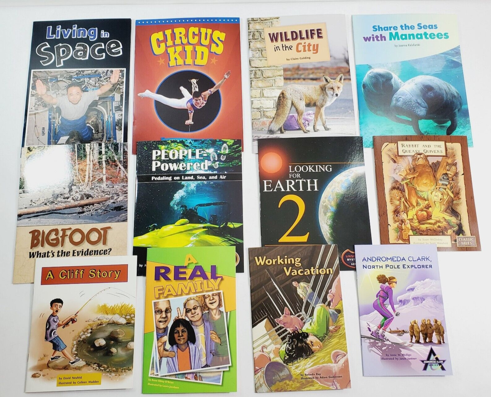 Lot of 12 Fountas & Pinnell LLI Gold System Level O Leveled Literacy Readers