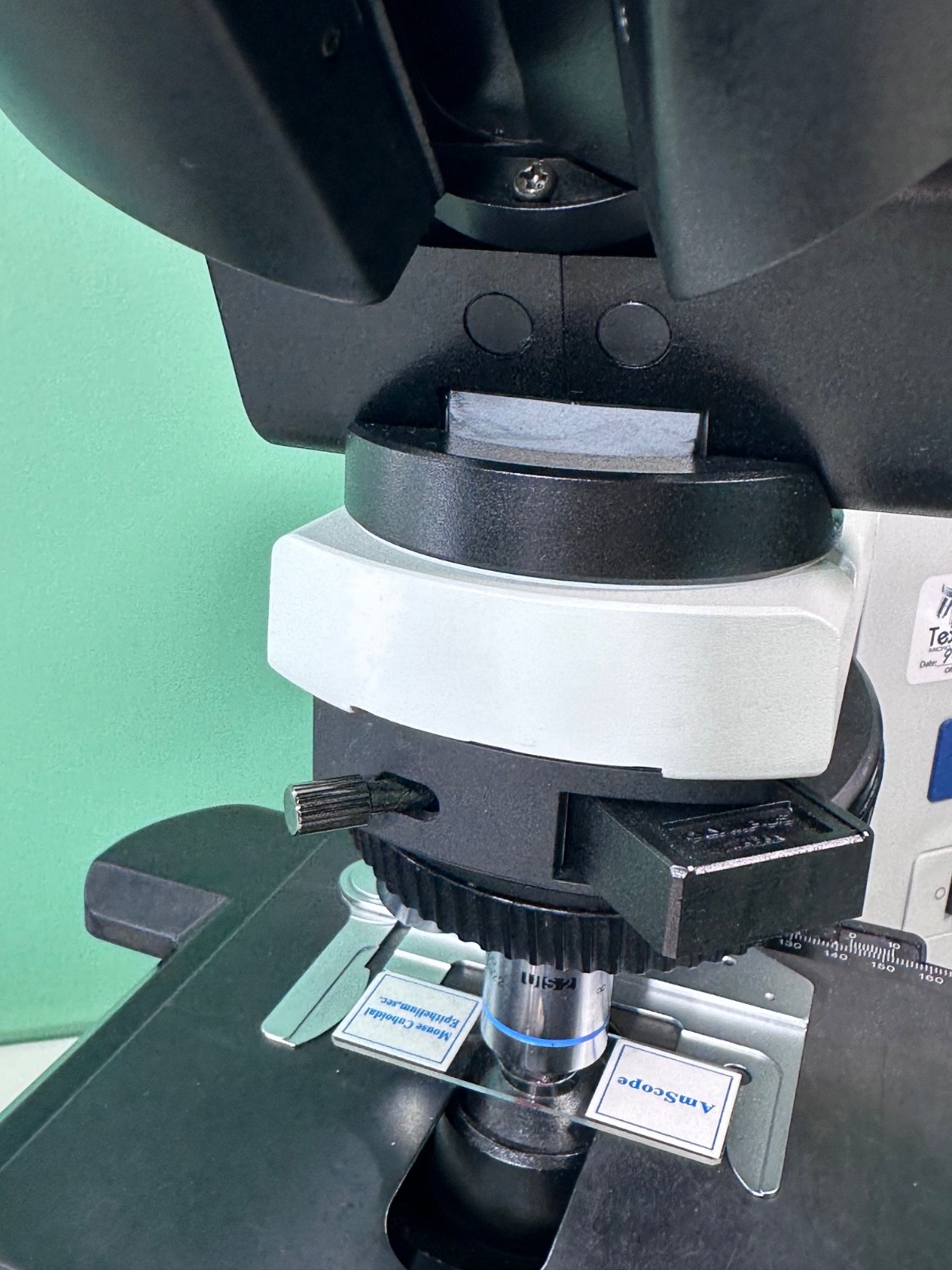 NICE Olympus BX41 Microscope with 3 Objectives, Ergonomic Tilting Head