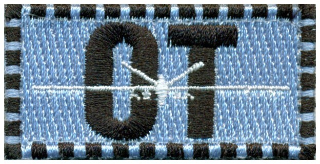 USAF 556th TEST and EVALUATION SQUADRON – MQ-9 REAPER TEST PATCH - POCKET TAB