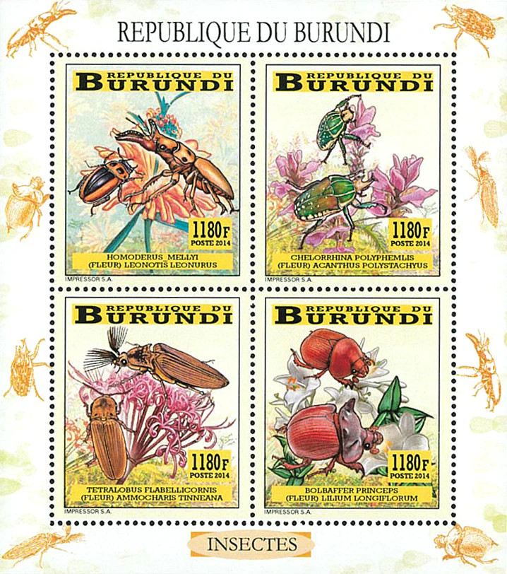 Burundi Stamps 2014 Imperforated Fauna & Flora Coleoptera Sheetlet 3337 - 3440