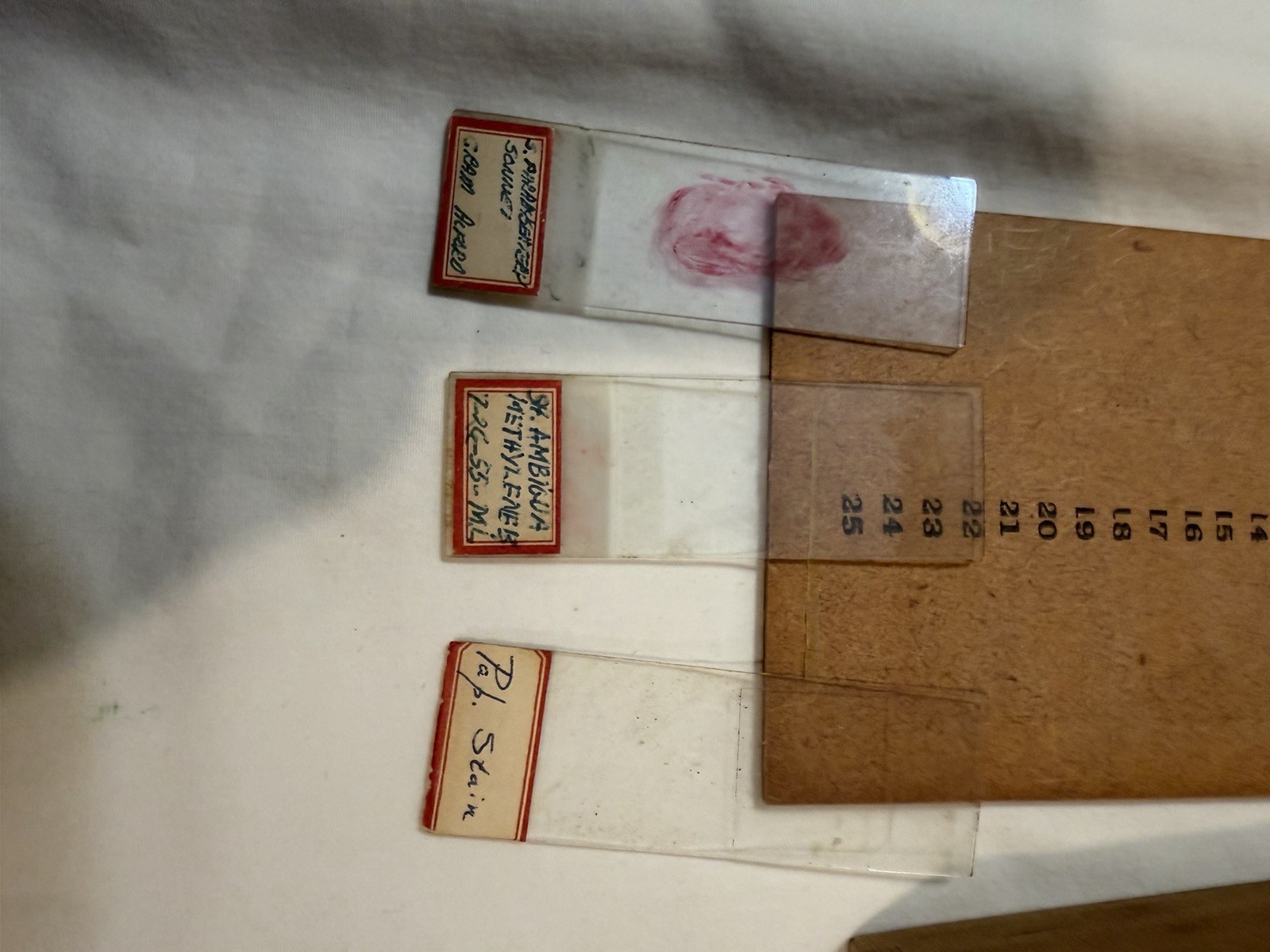 Vintage Microscope Medical Lab Slides