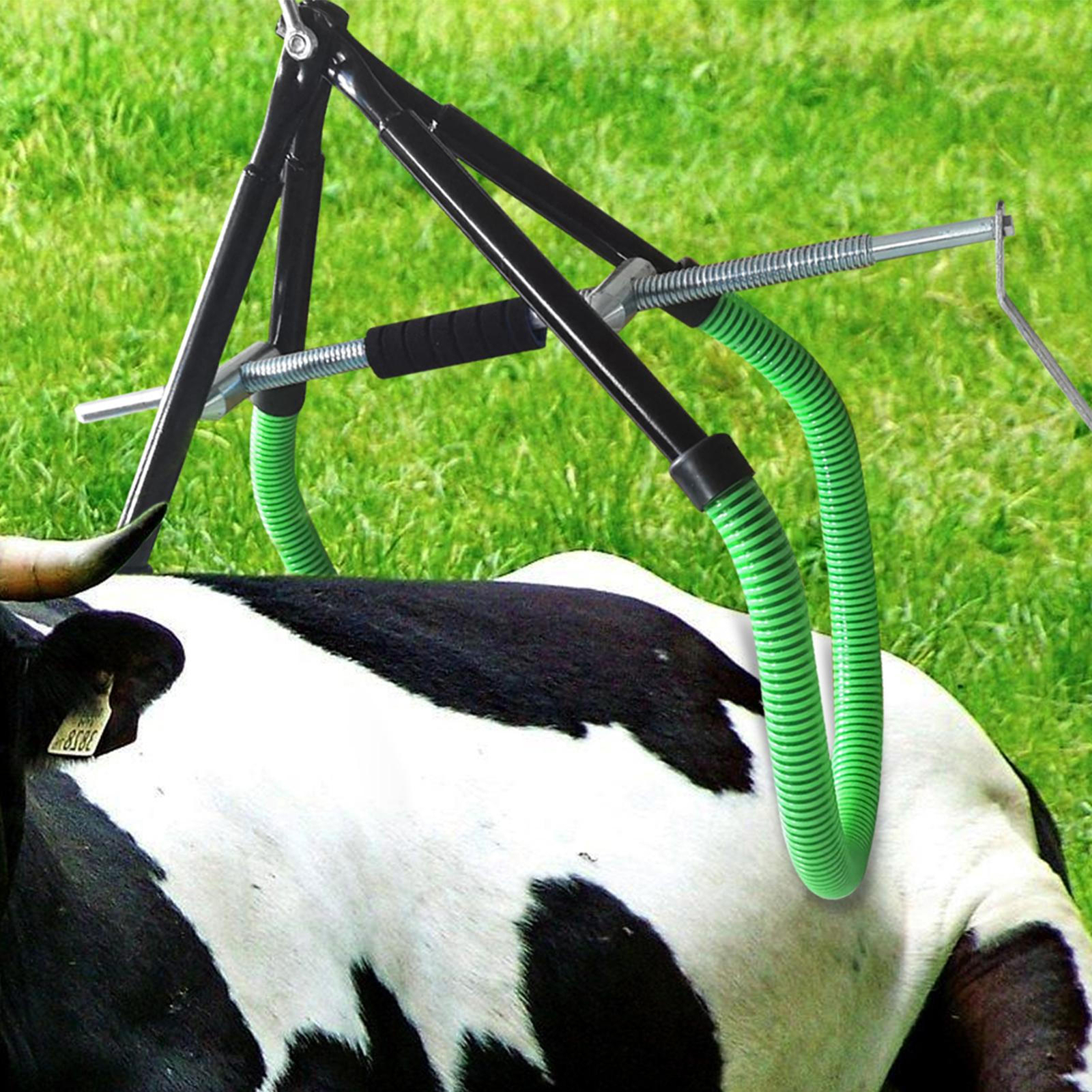 Cow Hip Lift OB Calving Milking Birthing Lame Cow 2200LB Adjustable Clamp New--