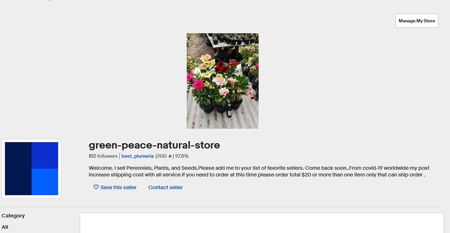 Plumeria Seeds/Flowers/Ngamvilai/Fresh 100 seeds!!