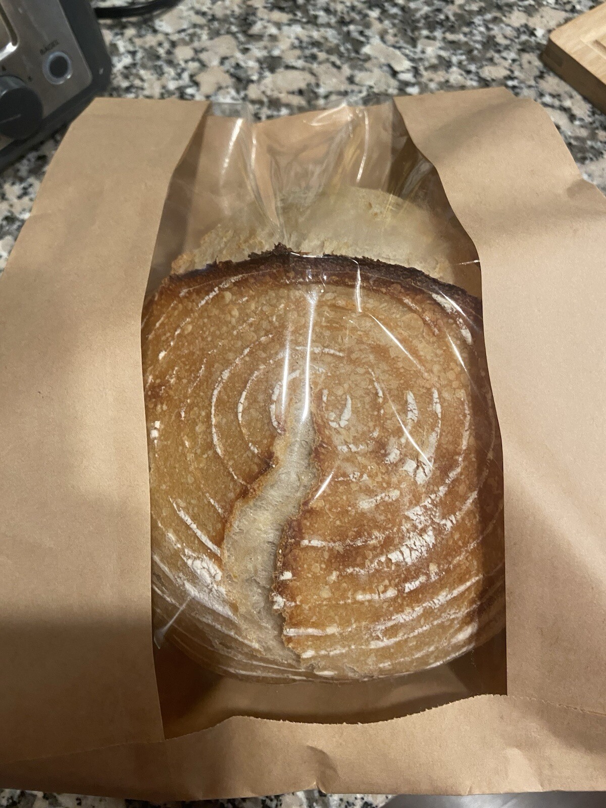 Dehydrated Sourdough Starter