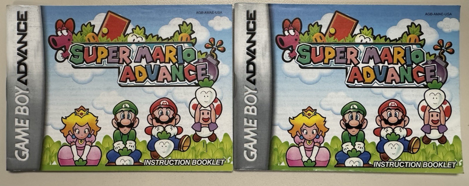 Super Mario Advance GBA Instruction Manual Only Nintendo Game Boy Advance