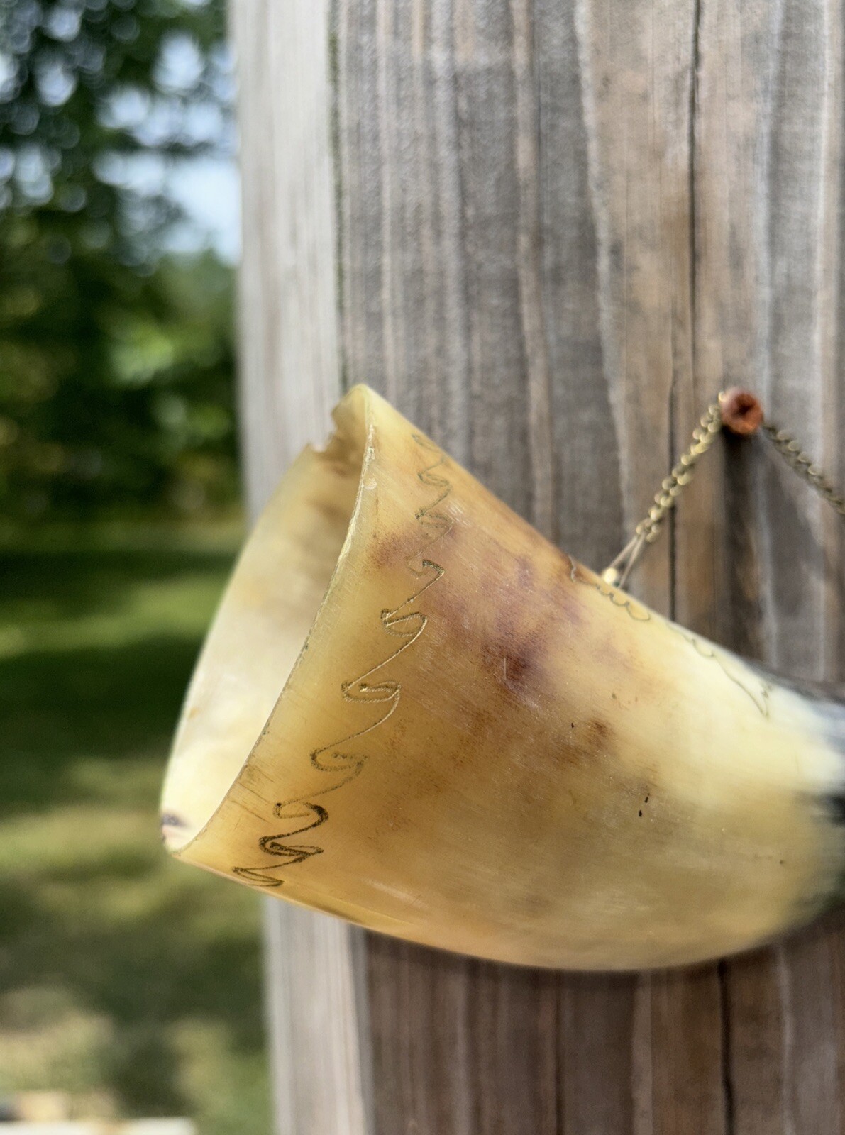 Antique Powder Horn Genuine Horn Brass Fittings Chain Carved Designs Signed Date